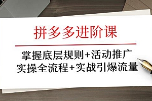 拼多多进阶课,实操全流程引爆流量