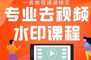 专业去视频水印教程 静态水印、动态水印,快速加水印