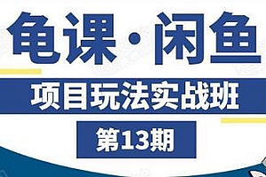 龟课·闲鱼玩法实战班 第十三期(无水印)
