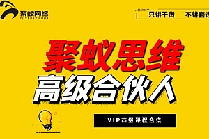 聚蚁思维 高级合伙人vip课程合集