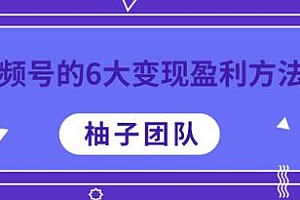 柚子团队 视频号的6大变现方法,每种做到极致都能年赚100W+