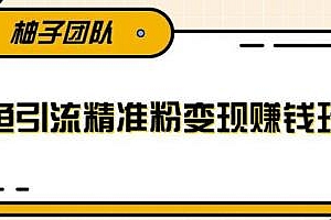 柚子团队 闲鱼引流精准粉变现玩法,每天引流精准粉+100