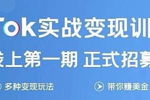 龟课 Tik Tok变现实战训练营1期 多种模式赚美刀(无水印)