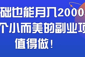 零基础也能月入20000+,一个不错的小而美副业项目!