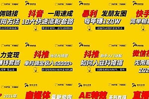 聚蚁思维高级合伙人vip课程合集 最新更新