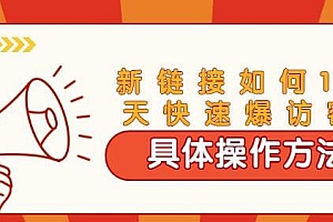 齐论·拼多多进阶战术课:拼多多新链接14天快速爆访客