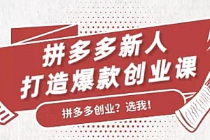 拼多多新人打造爆款创业课15期,快速引流,持续出单 (无水印)