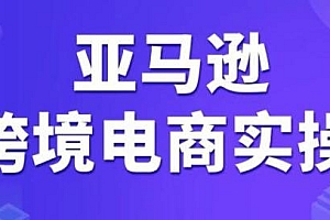 亚马逊 跨境电商实操完整课程