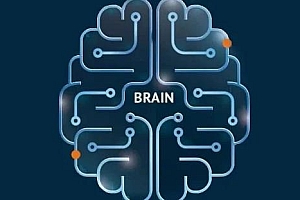 思维模型第4期 如何高效学习 搭建科学的知识体系