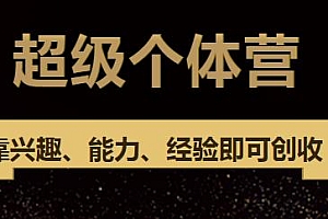 超级个体营,实现个人品牌持续变现,靠兴趣、能力、经验即可创收(无水印)