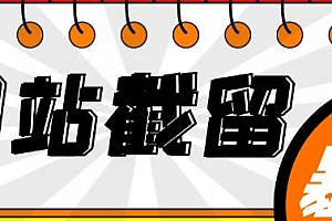 网站截流项目 自动化,实战3天即可躺赚 每天400+