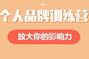 张萌萌姐的个人品牌训练营 快速打造个人品牌