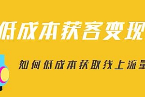 素宣成长学院低成本获客变现营,教你流量源源不断