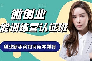微创业全能训练营 手把手指导创业互联网新手如何从零到有