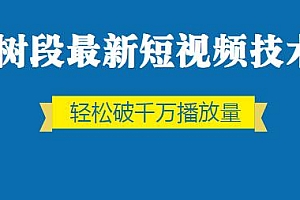 树段最新短视频技术,轻松破千万播放量