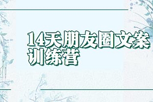 14天朋友圈文案训练营 让你听了就会写,写了就能卖的文案课