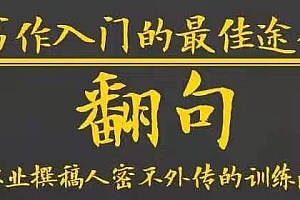 翻句·职业撰稿人密不外传的训练法 写作入门的最佳途径