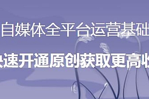 自媒体全平台运营基础,快速开通原创获取更高收益