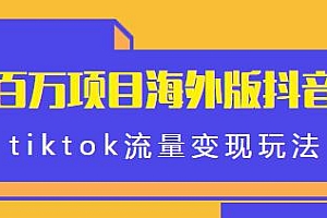 鲸叹号海外TIKTOK训练营,海外版抖音tiktok流量变现玩法