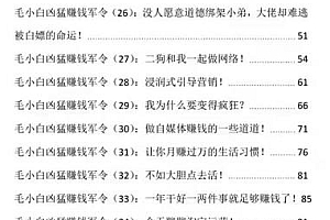 毛小白凶猛赚钱军令  这个C蛋又精彩的世界不赚点钱可惜了