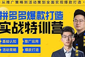 玺承云拼多多爆款打造实战特训营,从入门到高手,全面实现爆款打造
