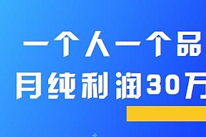 一个人一个品 月纯利润30万的蓝海电商经典案例分享!