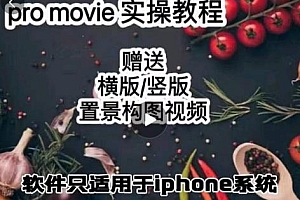 漆十二美食摄影,25节promovie实操教程