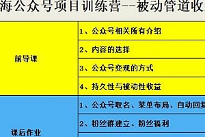 蓝海公众号项目训练营 被动管道收益 手把手教你实操运营