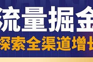 张琦流量掘金探索全渠道增长课程