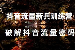 抖音流量新兵训练营-破解抖音流量密码群爆训练营 持续获得流量