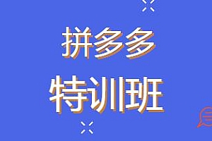 拼多多基础班+进阶班+突破班,系统学习快速改变现状