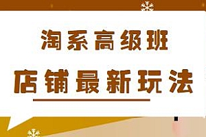星雪教育淘系高级班,店铺最新玩法,运营提升方案全套课程