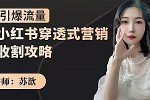 苏歆小红书穿透式营销收割攻略,助你引爆流量做好小红书