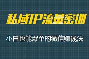私域IP流量密训 小白也能爆单的微信赚钱法 开启财富积累新捷径