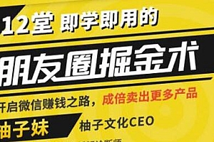 12堂即学即用的朋友圈掘金术:开启你的微信副业赚钱之路
