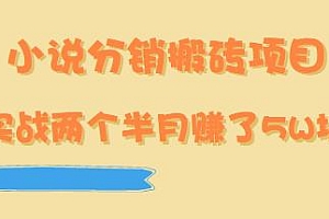收费999的小说分销搬砖项目,操作简单,实战两个半月赚5W+