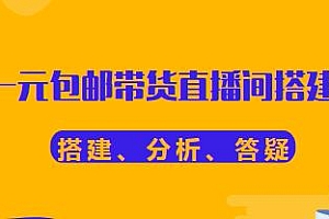 一元包邮带货直播间搭建,包含搭建、分析、答疑,无人直播带货
