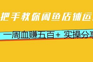 2022手把手教你闲鱼店铺运营,一周血赚五百+ 实操分享