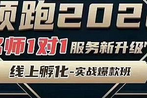 老陶电商·拼多多名师线上领跑28天【第9期】,线上孵化实战爆款班