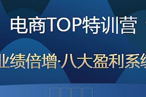 大圣【电商TOP特训营】·电商最全八大体系,带你走TOP走过的路