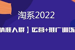 2022淘系精准人群运营+推广训练营,所有内容实操演示