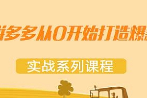 拼多多从0开始打造爆款系列课程,快速树立运营思路,打造爆款