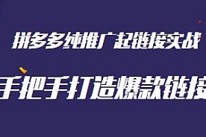 拼多多纯推广起链接实战,手把手打造爆款链接,适合各类商家