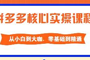 2022全套拼多多核心实操课程,从小白到大咖,零基础到精通,低投入高产出运作店铺