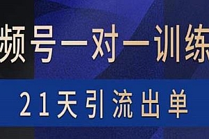 视频号训练营,21天引流出单:带货,涨粉,直播,游戏,四大变现新方向