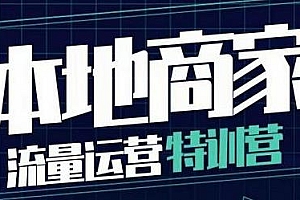 罗老师·本地商家流量运营特训营,本地实体商家必看教程
