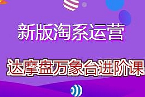 电商掌柜茂隆·新版淘系运营达摩盘万象台进阶课,淘宝教程