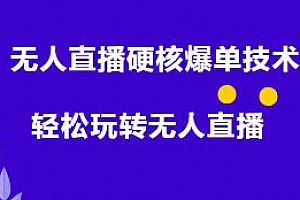 大飞·无人直播硬核爆单技术,暴利躺赚,轻松玩转无人直播