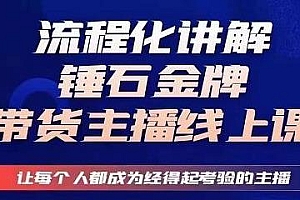 锤石传媒婉婉·金牌带货主播线上课,教你打造金牌带货主播