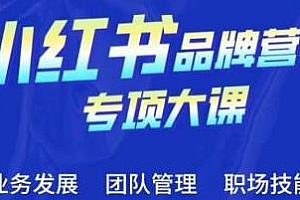小红书品牌营销专项大课,品牌医生操盘手系列课程